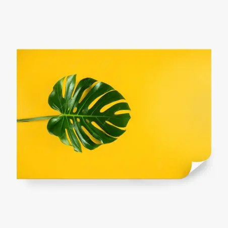Papier peint motif tropical feuille monstera sur fond jaune – Wallnifity®