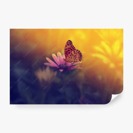 Papier peint papillon au coucher de soleil sur une fleur délicate – Wallnifity®
