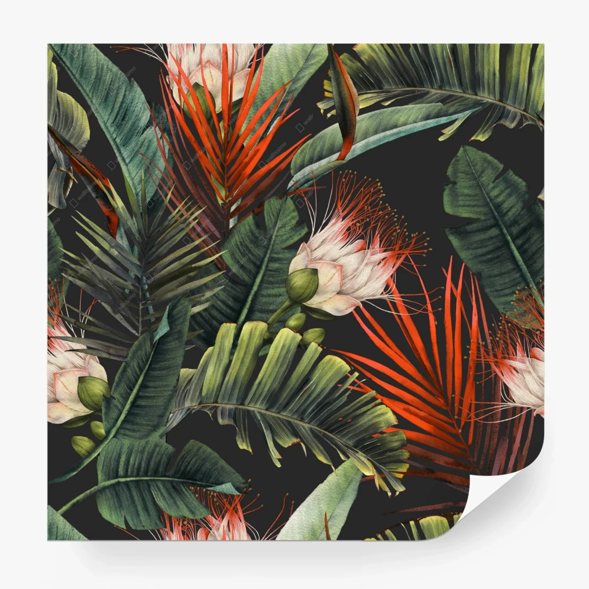 Papier peint motif tropical aquarelle sur fond sombre – Wallnifity® Papier peint motif tropical aquarelle sur fond sombre – Wallnifity®