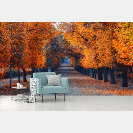 Papier peint allée automnale aux feuilles orangées – Wallnifity®
