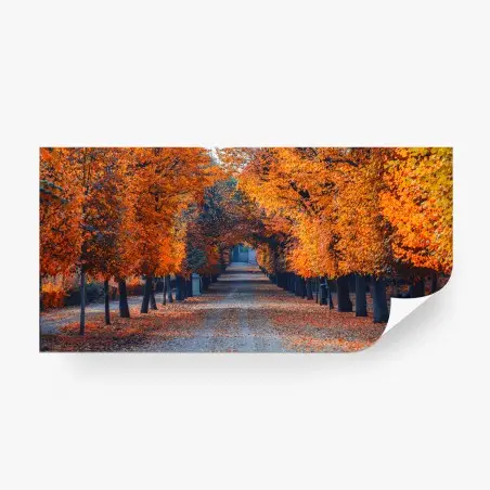 Papier peint allée automnale aux feuilles orangées – Wallnifity®