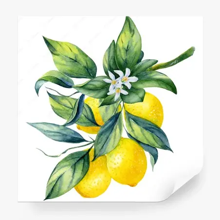 Papier peint branche de citrons à l'aquarelle – Wallnifity®