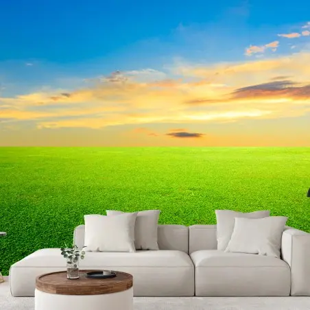 Papier peint prairie verte au coucher du soleil – Wallnifity®
