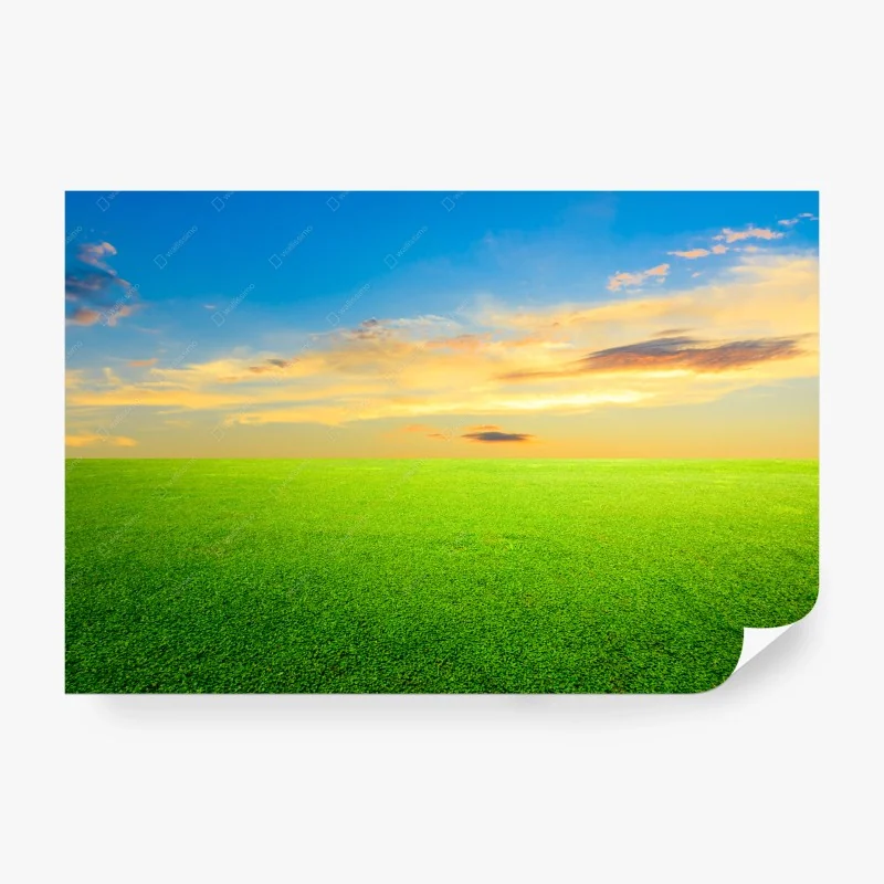 Papier peint prairie verte au coucher du soleil – Wallnifity® Papier peint prairie verte au coucher du soleil – Wallnifity®
