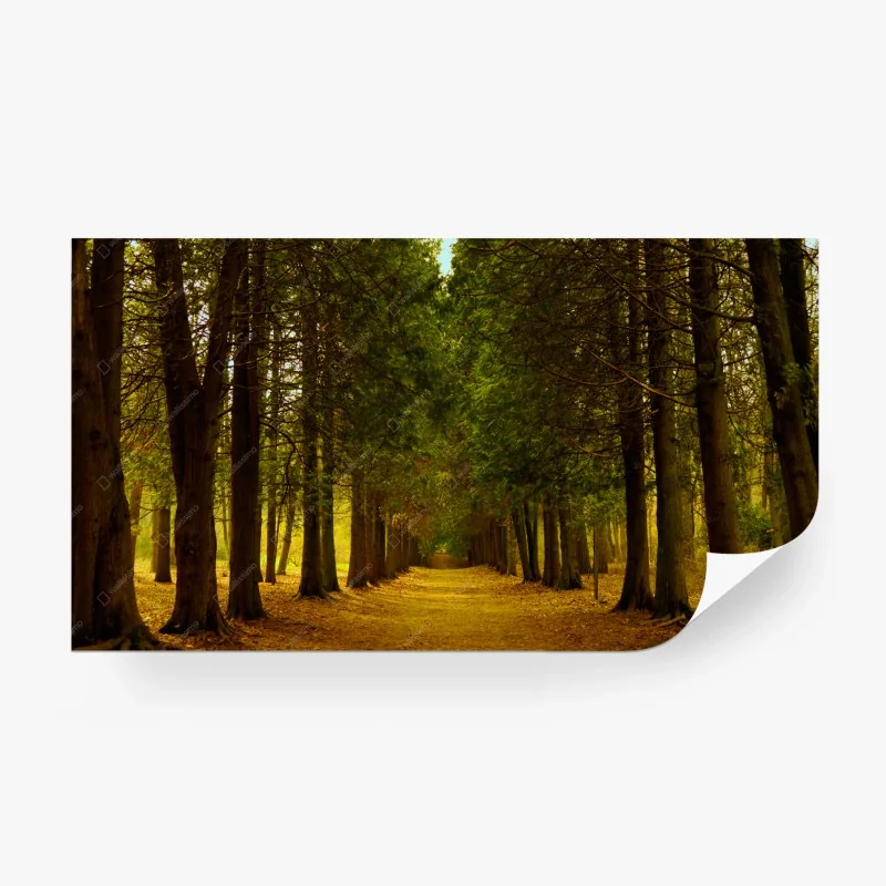 Papier peint allée forestière aux teintes dorées – Wallnifity® Papier peint allée forestière aux teintes dorées – Wallnifity®