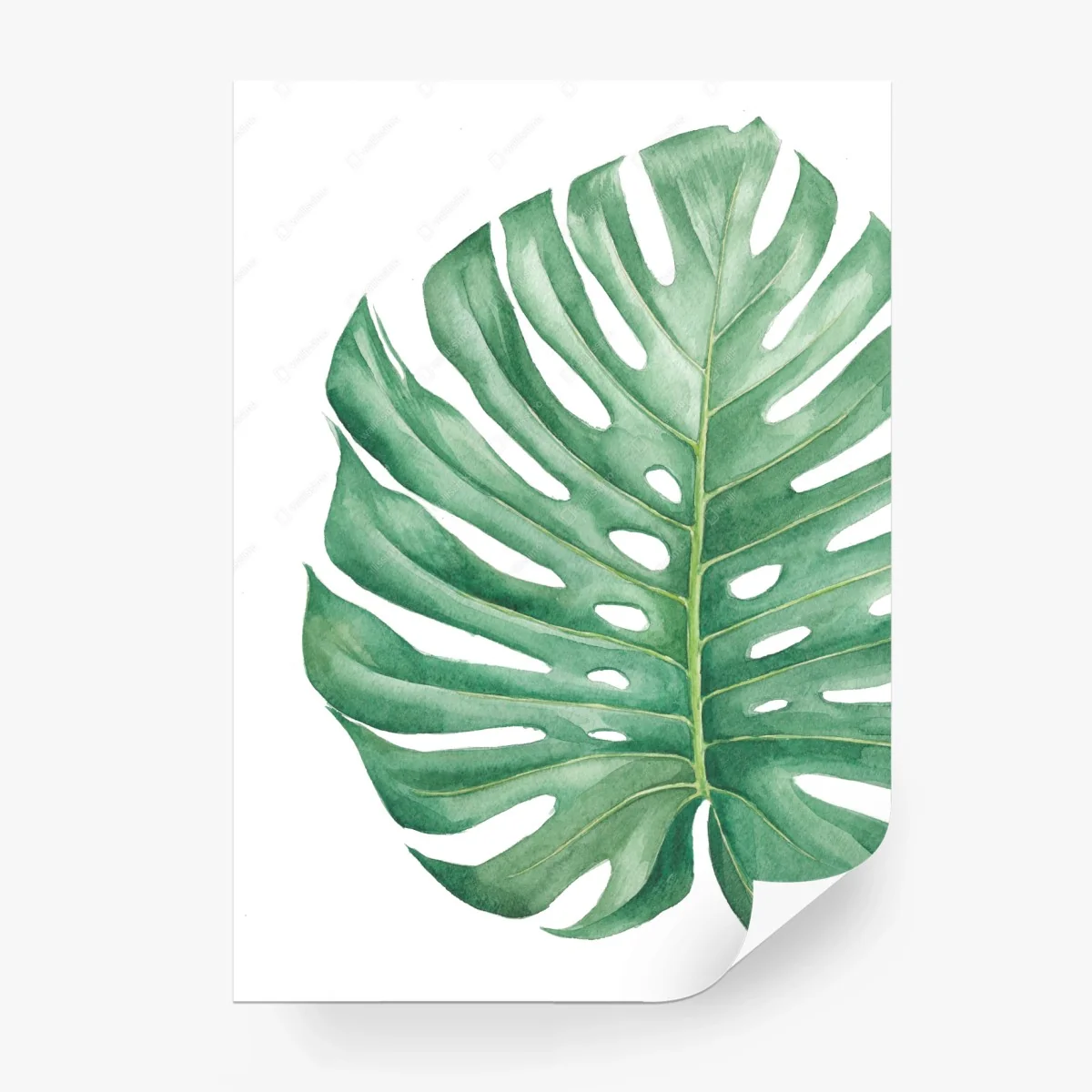 Papier peint feuille de monstera en aquarelle, motif tropical élégant – Wallnifity® Papier peint feuille de monstera en aquarelle, motif tropical élégant – Wallnifity®