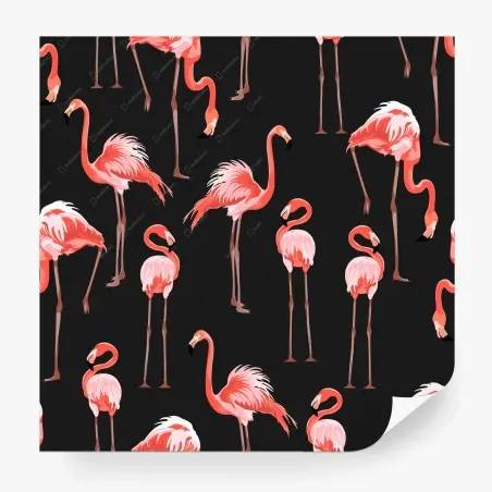 Papier peint motif de flamants roses sur fond noir – Wallnifity®