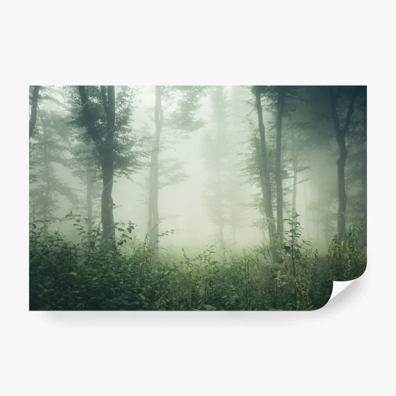 Papier peint forêt brumeuse au petit matin – Wallnifity® Papier peint forêt brumeuse au petit matin – Wallnifity®