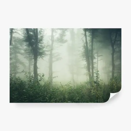 Papier peint forêt brumeuse au petit matin – Wallnifity®