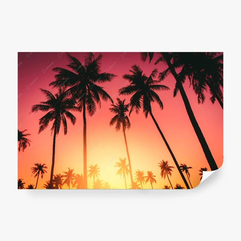 Papier peint paradis de palmiers au coucher de soleil – Wallnifity® Papier peint paradis de palmiers au coucher de soleil – Wallnifity®