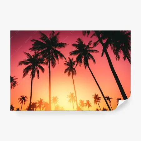 Papier peint paradis de palmiers au coucher de soleil – Wallnifity®