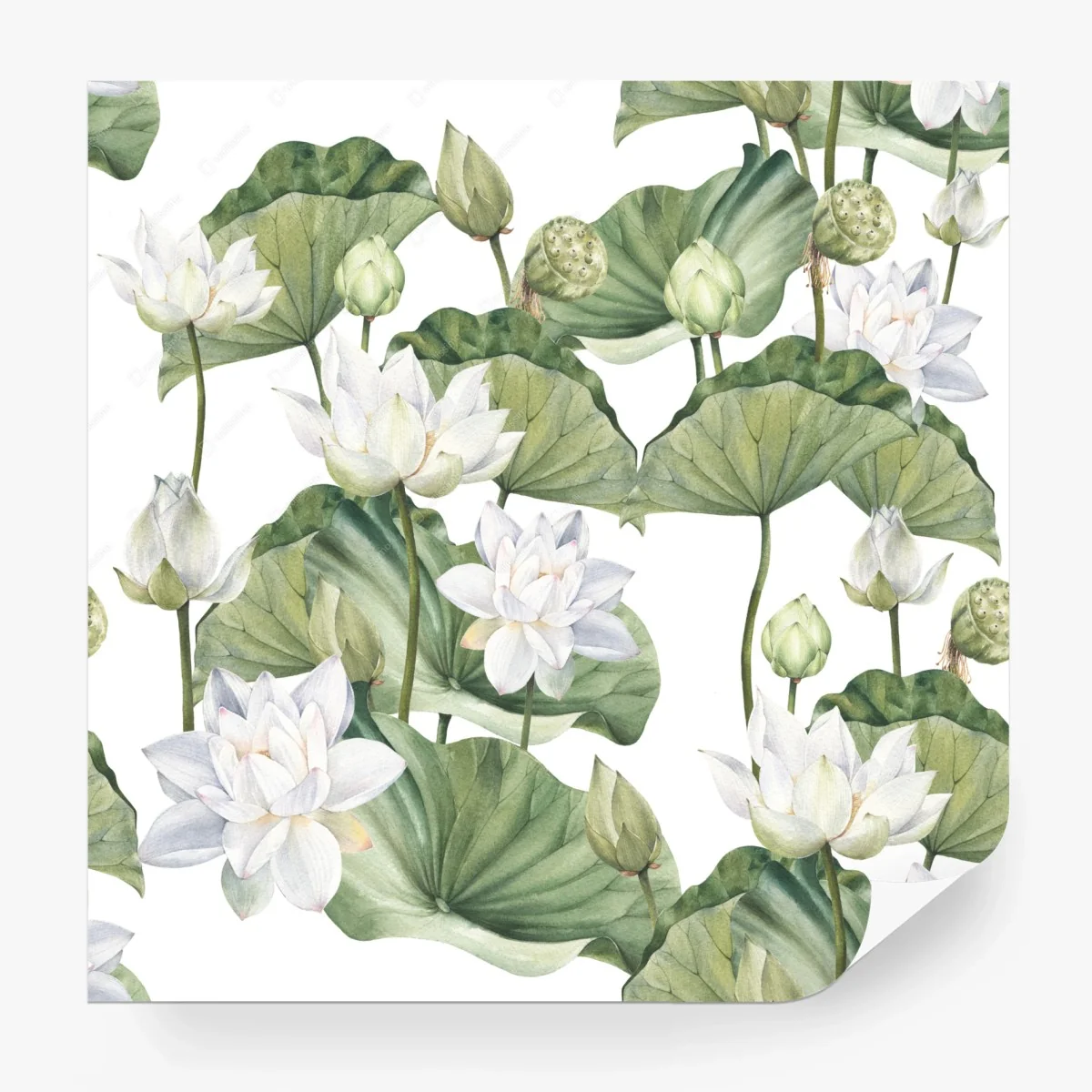 Papier peint motif de lotus blanc en aquarelle – Wallnifity® Papier peint motif de lotus blanc en aquarelle – Wallnifity®