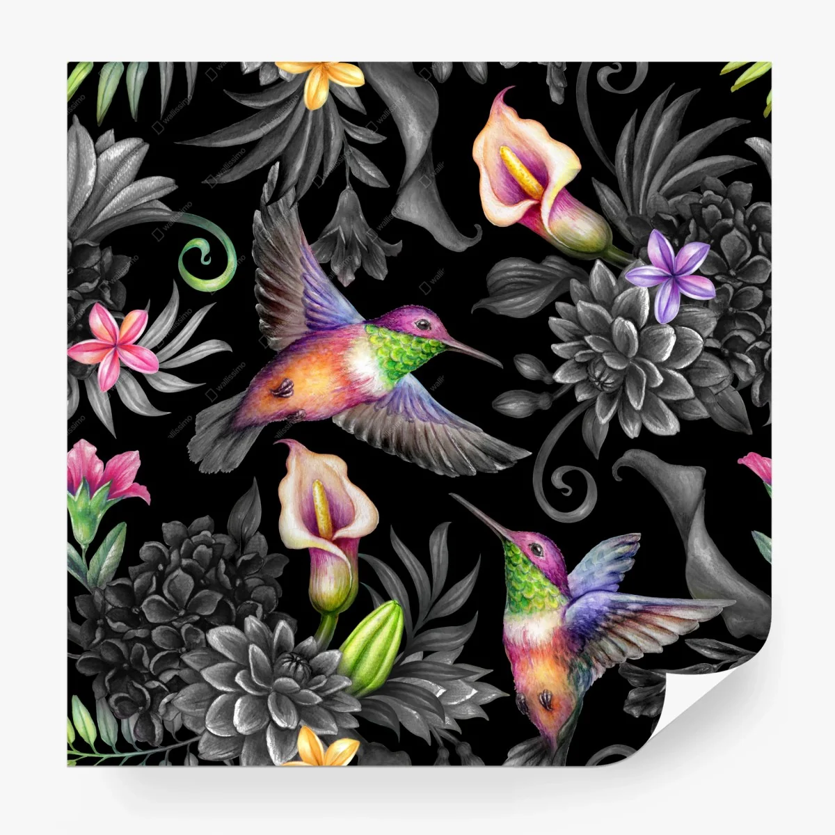 Papier peint aquarelle botanique: colibris dans un jardin paradisiaque – Wallnifity® Papier peint aquarelle botanique: colibris dans un jardin paradisiaque – Wallnifity®