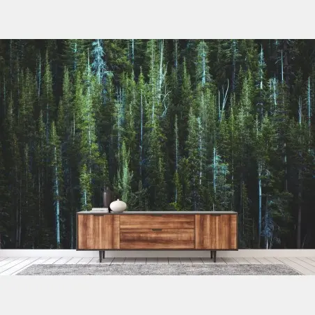 Papier peint forêt de conifères au bord d'un lac turquoise – Wallnifity®