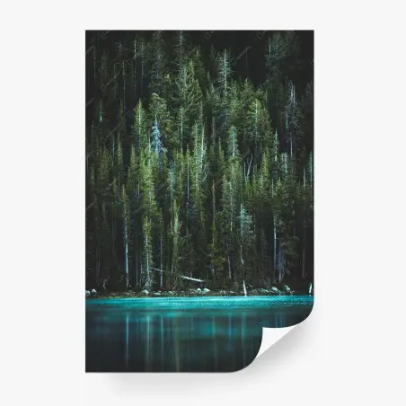 Papier peint forêt de conifères au bord d'un lac turquoise – Wallnifity®