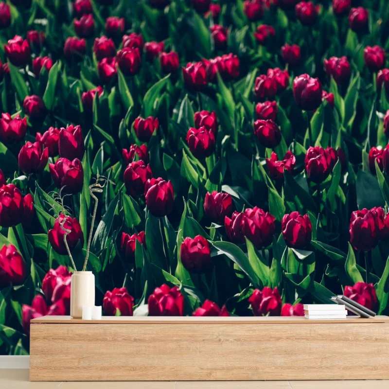 Fleurs et plantes – Wallnifity®