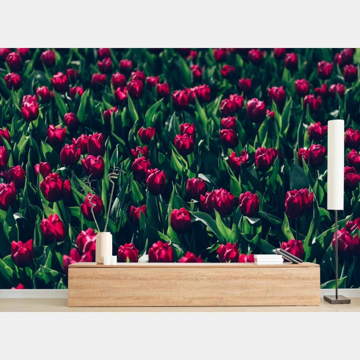 Papier peint champ de tulipes rouges en pleine floraison – Wallnifity® Papier peint champ de tulipes rouges en pleine floraison – Wallnifity®