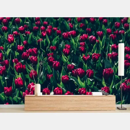Papier peint champ de tulipes rouges en pleine floraison – Wallnifity®