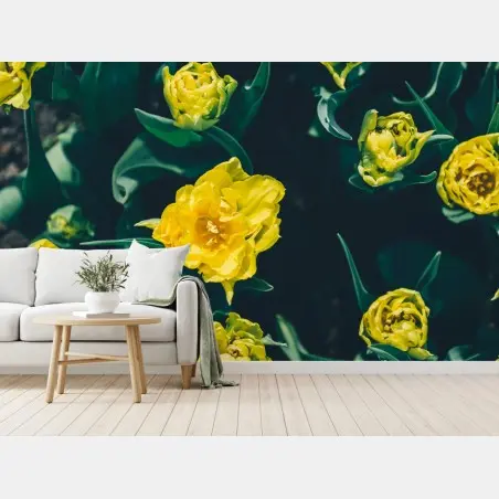 Papier peint tulipes doubles jaunes en vue aérienne – Wallnifity®