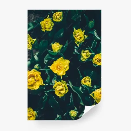 Papier peint tulipes doubles jaunes en vue aérienne – Wallnifity®