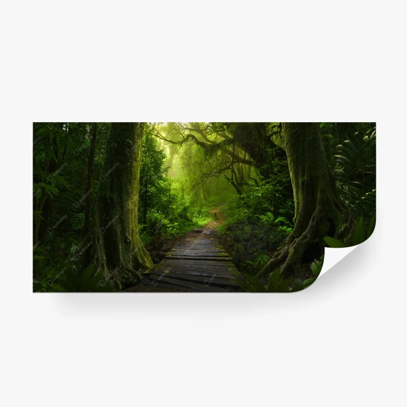 Papier peint sentier mystique au cœur de la forêt – Wallnifity® Papier peint sentier mystique au cœur de la forêt – Wallnifity®
