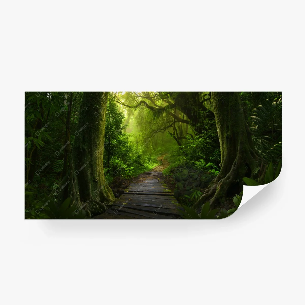 Papier peint sentier mystique au cœur de la forêt – Wallnifity® Papier peint sentier mystique au cœur de la forêt – Wallnifity®