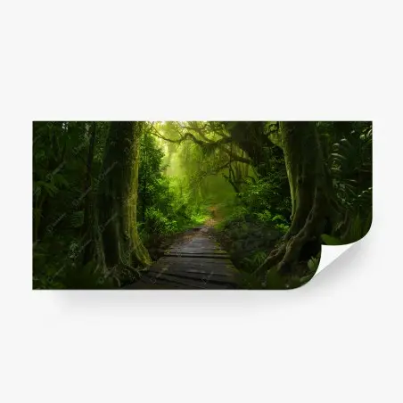 Papier peint sentier mystique au cœur de la forêt – Wallnifity®
