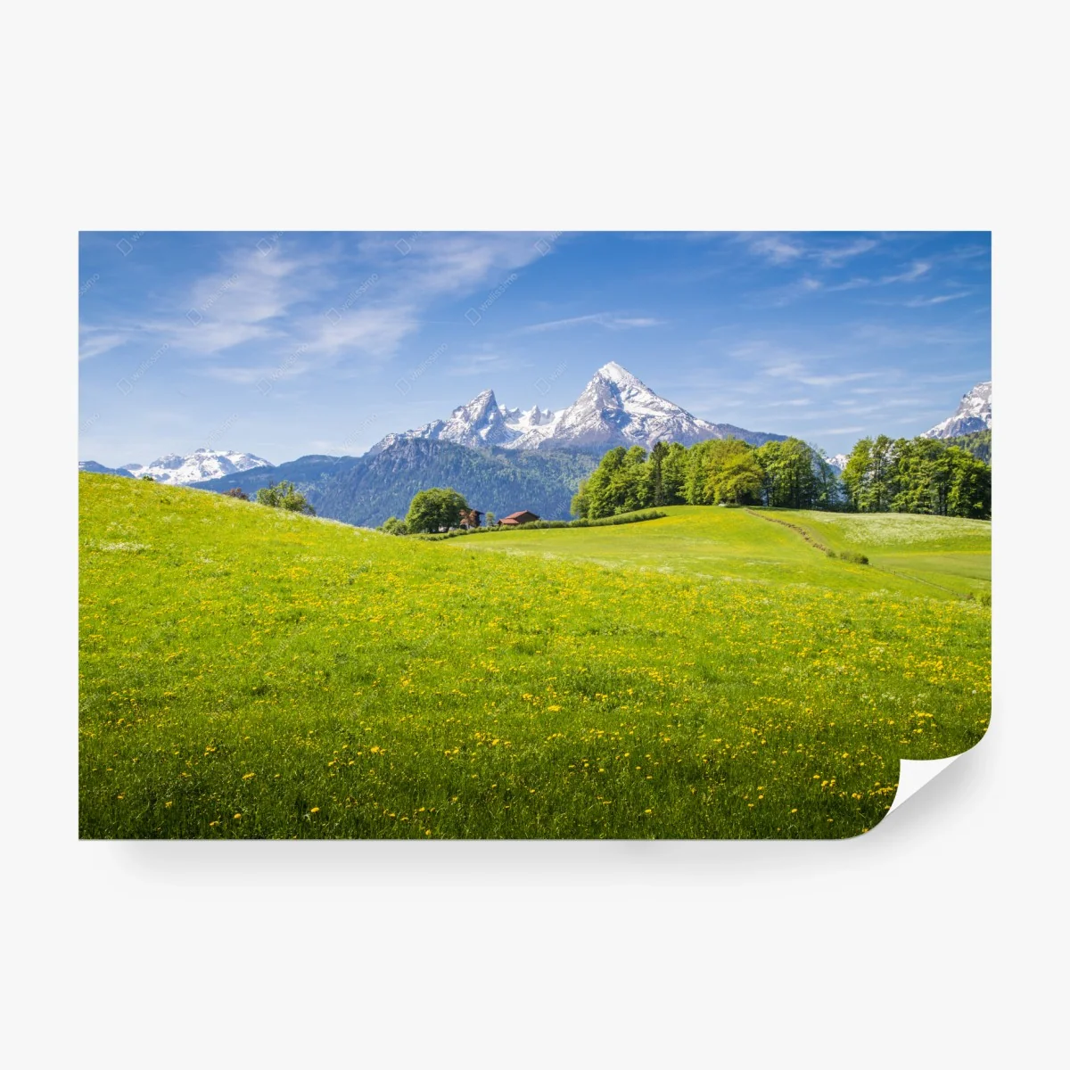 Papier peint vue alpine printanière sur montagnes enneigées et prairies – Wallnifity® Papier peint vue alpine printanière sur montagnes enneigées et prairies – Wallnifity®