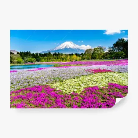Papier peint tapis floral coloré devant Mont Fuji – Wallnifity®