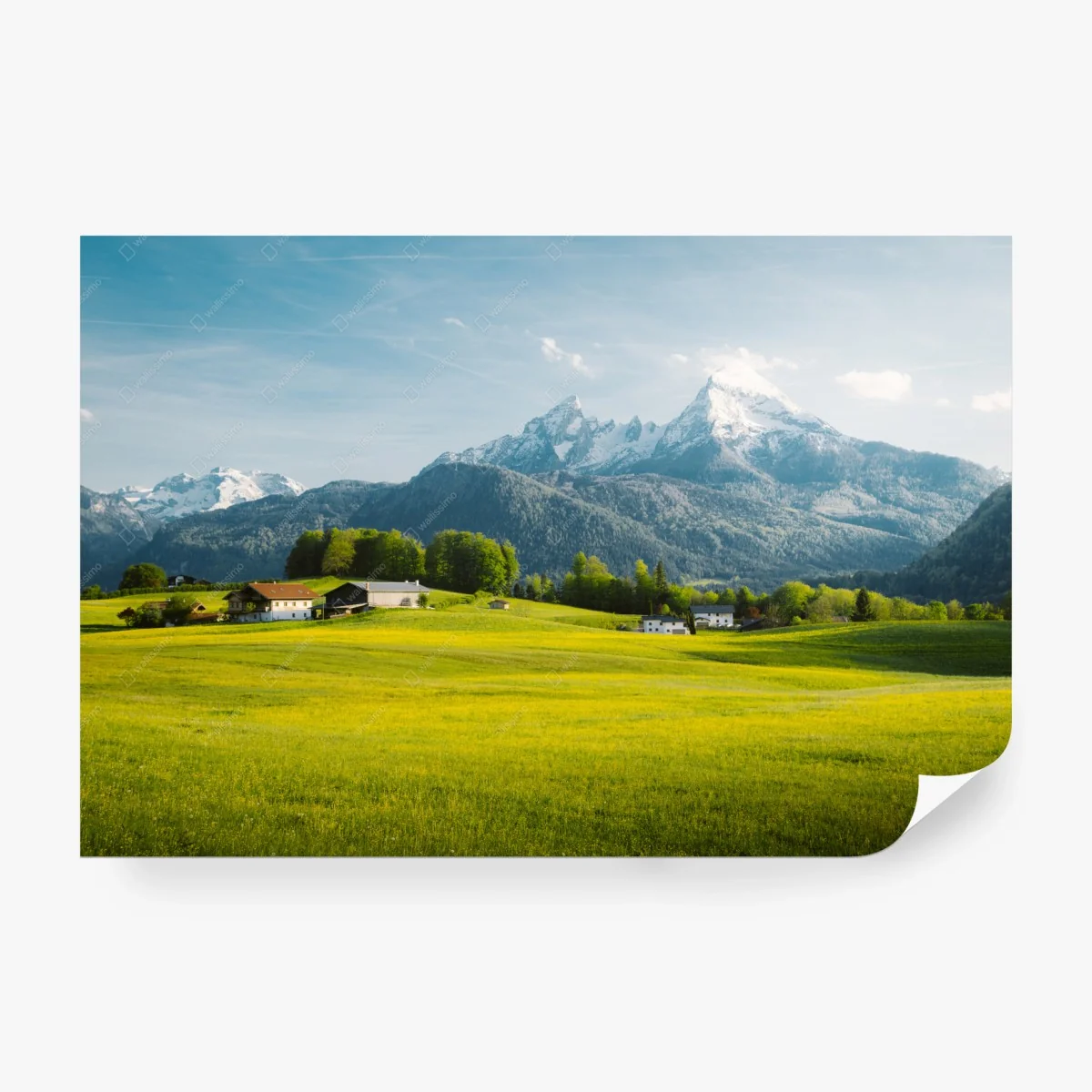 Papier peint havre alpin de printemps dans les Alpes – Wallnifity® Papier peint havre alpin de printemps dans les Alpes – Wallnifity®