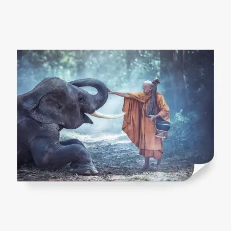 Papier peint rencontre sacrée : moine bouddhiste et éléphant en Thaïlande – Wallnifity®