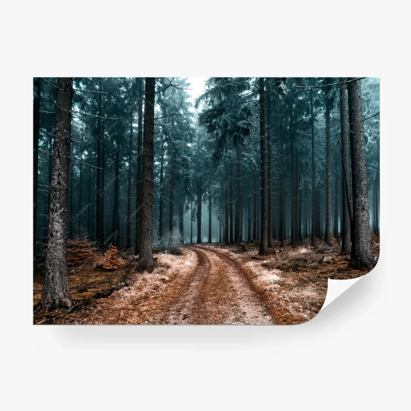 Papier peint sentier brumeux au cœur de la forêt – Wallnifity® Papier peint sentier brumeux au cœur de la forêt – Wallnifity®