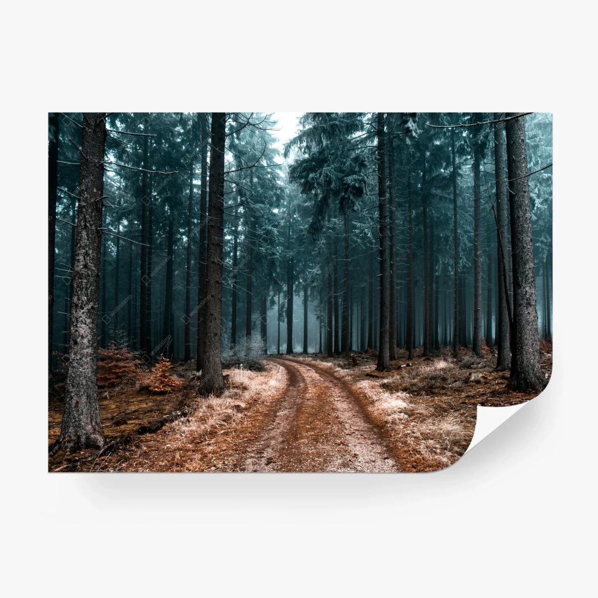 Papier peint sentier brumeux au cœur de la forêt – Wallnifity® Papier peint sentier brumeux au cœur de la forêt – Wallnifity®