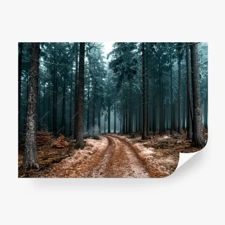 Papier peint sentier brumeux au cœur de la forêt – Wallnifity®