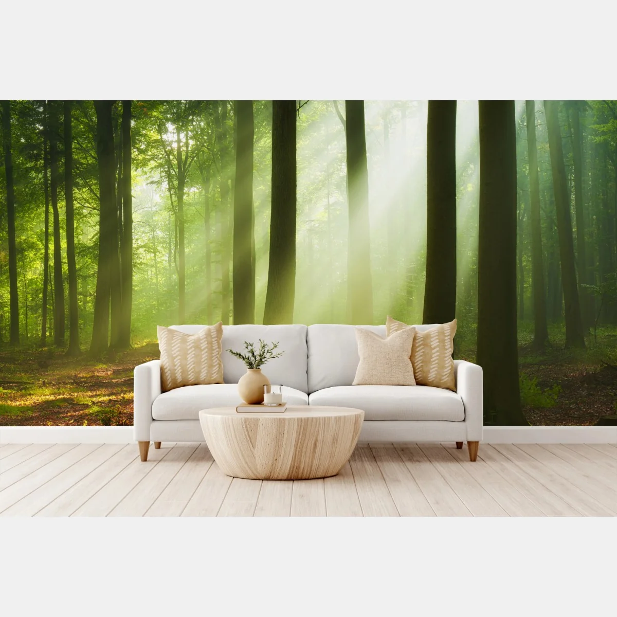 Papier peint matin lumineux en forêt – Wallnifity® Papier peint matin lumineux en forêt – Wallnifity®