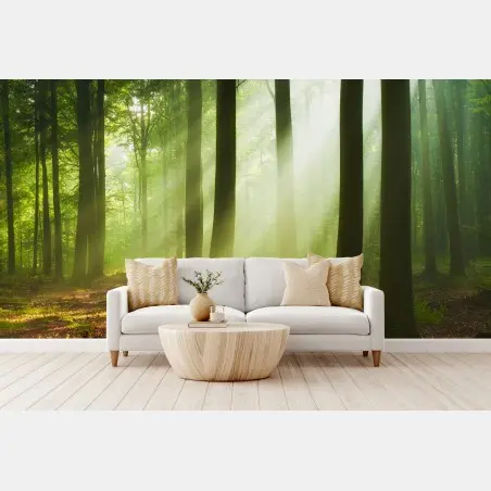 Papier peint matin lumineux en forêt – Wallnifity®