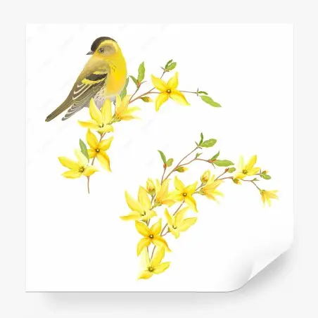 Papier peint oiseau jaune et fleurs printanières en aquarelle – Wallnifity®