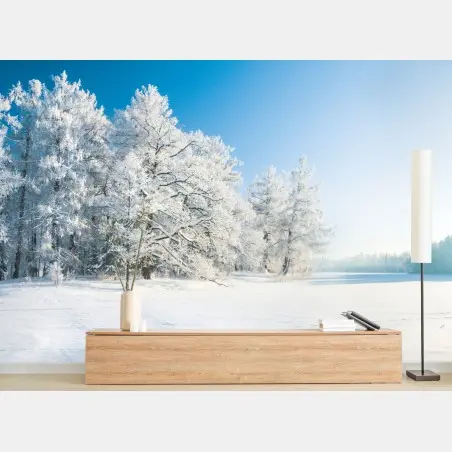 Papier peint paysage hivernal d'arbres givrés au soleil – Wallnifity®