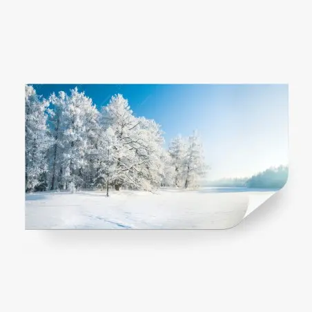 Papier peint paysage hivernal d'arbres givrés au soleil – Wallnifity®