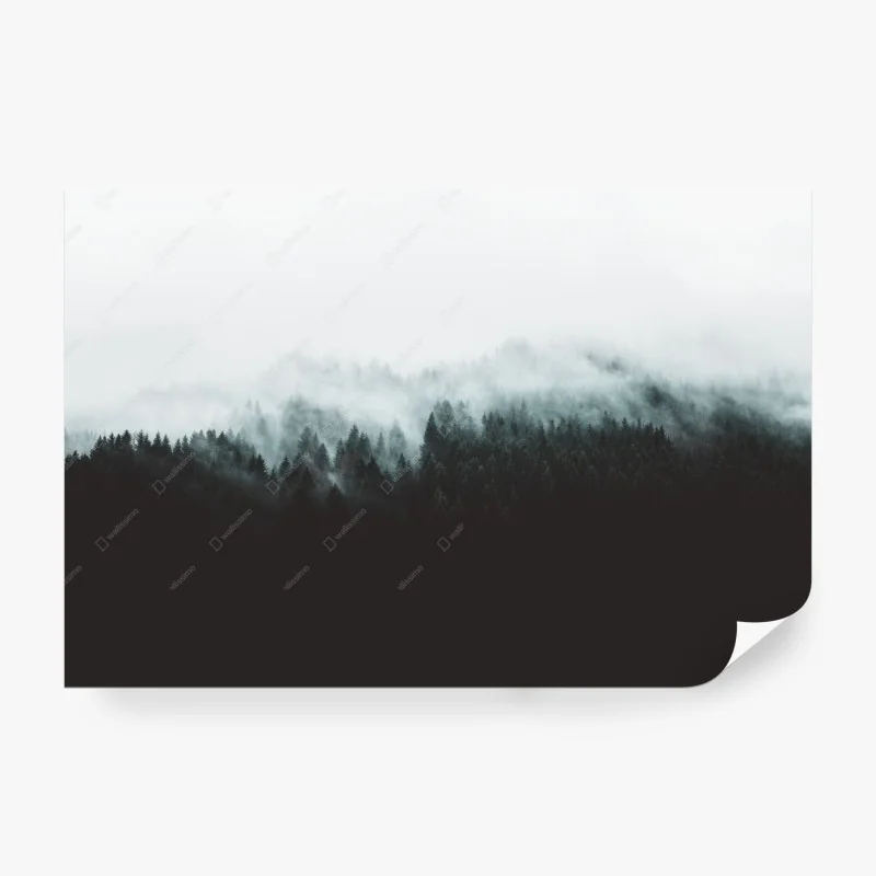Papier peint paysage de forêt brumeuse – Wallnifity®