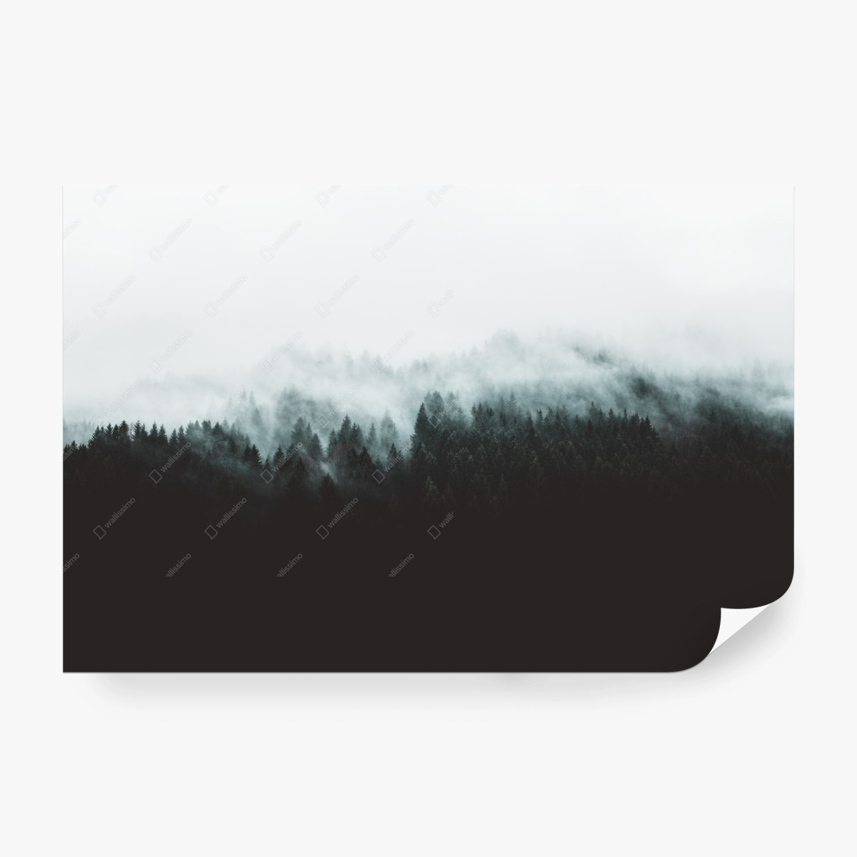 Papier peint paysage de forêt brumeuse – Wallnifity®