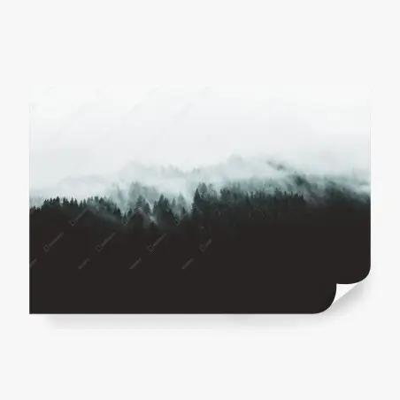 Papier peint paysage de forêt brumeuse – Wallnifity®