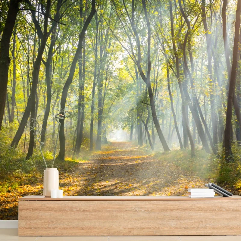 Forêts – Wallnifity®