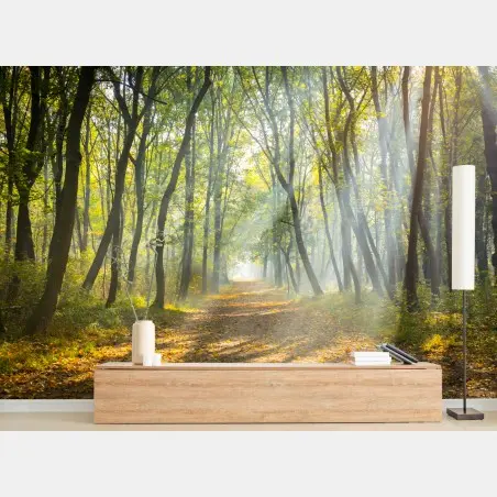 Papier peint chemin de forêt baigné de lumière – Wallnifity®