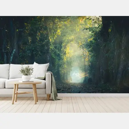 Papier peint chemin enchanté baigné de lumière – Wallnifity®