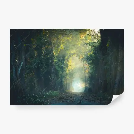 Papier peint chemin enchanté baigné de lumière – Wallnifity®