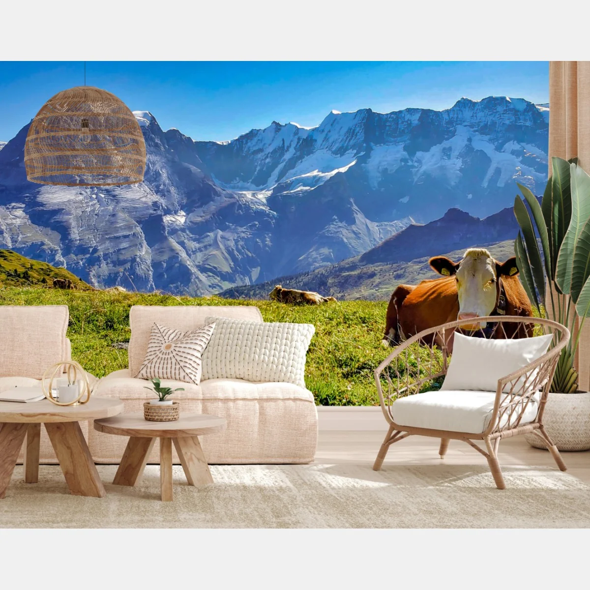Papier peint vache au repos sur une prairie alpine – Wallnifity® Papier peint vache au repos sur une prairie alpine – Wallnifity®