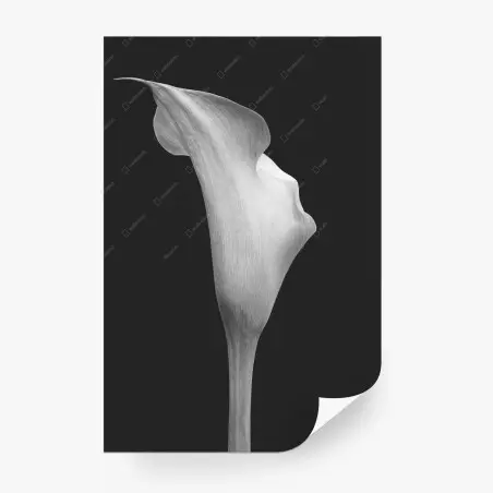 Papier peint élégance d'arum en noir et blanc – Wallnifity®