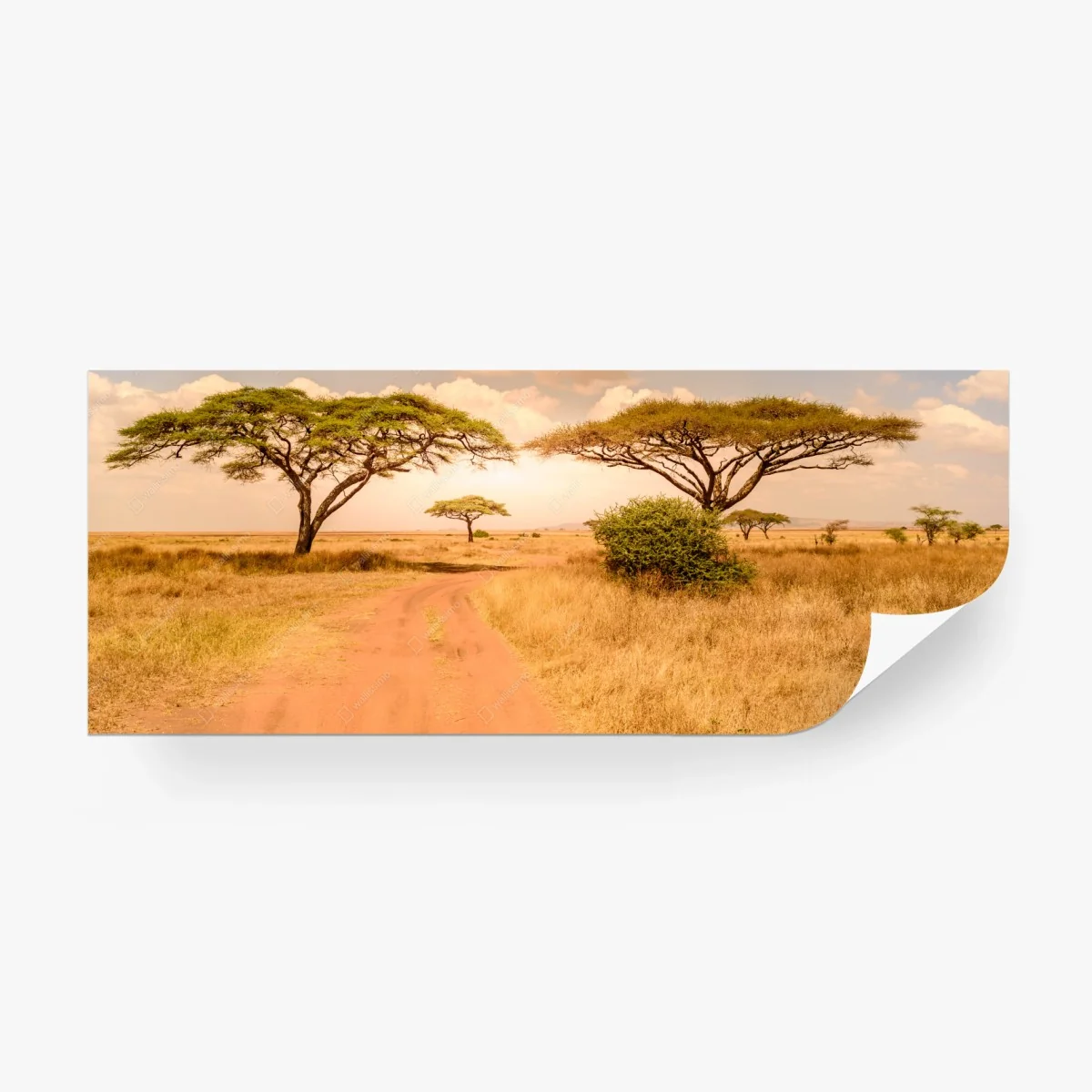 Papier peint route de safari dans la savane du Sérengéti – Wallnifity® Papier peint route de safari dans la savane du Sérengéti – Wallnifity®