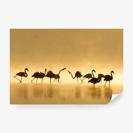 Papier peint famille de flamants en silhouette au lever du soleil – Wallnifity®